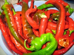 Dehydrating Peppers