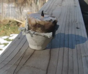 Making Tallow Candles