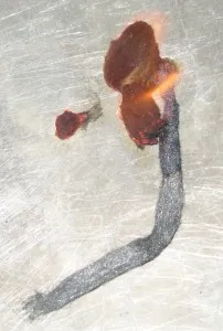 Starting a Fire with Steel Wool