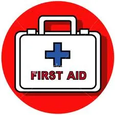 First Aid Training vs. Online Documents