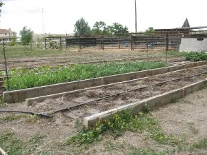 Gardening in Beds