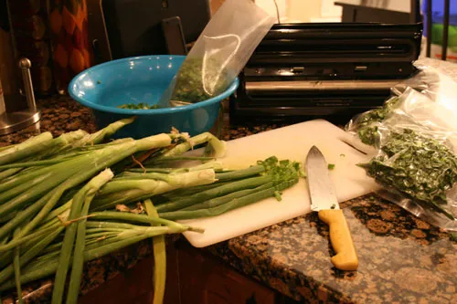Freezing green onions