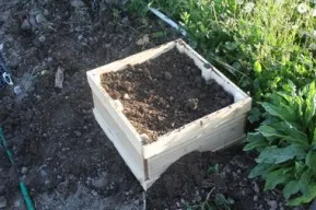 Potato Grow Boxes
