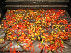 Sliced Peppers on the dehydrator tray