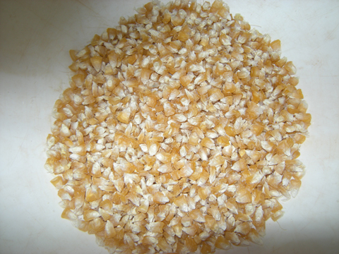 ParchedCornBowl