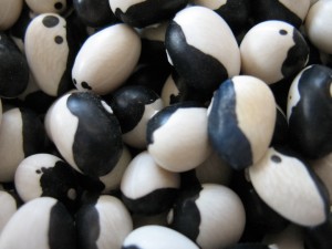 Black Valentine Bean