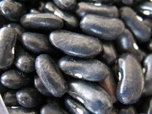 Black Valentine Bean