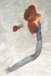 Starting a Fire with Steel Wool